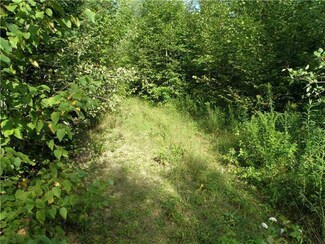 0 Rabbit Path and Diamond Ln Unit 1130713, Corinth, ME 04427