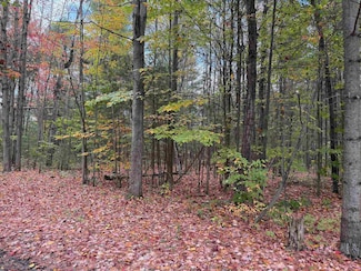 4131 New York 310, Norfolk, NY 13667