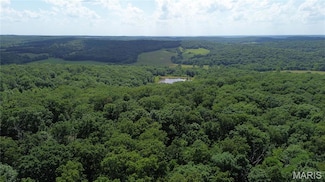 Lot #8 Anthonies Mill Rd, Johnson Township, MO 65441