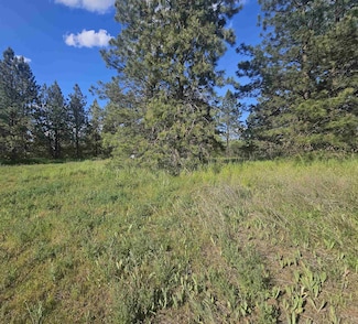 XXXX W Orchard Heights# 2 14242 0185 & 14242 0186 Rd, Cheney, WA 99004