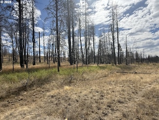 0 Godowa Springs Rd Unit 326459083, Beatty, OR 97621