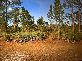 604 Orchid Dr, Lake Wales, FL 33855