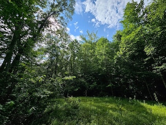 0 Hutcheson Road Off, Temple, GA 30179