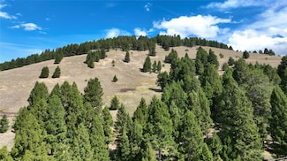 TBD Scranton Lode Lot 5 Ms 3667 Rd, Philipsburg, MT 59858