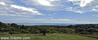 21 Lake Rd, Chilmark, MA 02535