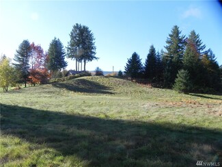 322 SE Redmond-Fall City Rd, Fall City, WA 98024