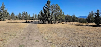 XXX Quartz Ave, Montague, CA 96064