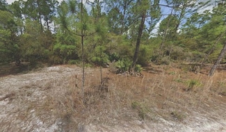 158 Ferncreek Dr, Georgetown, FL 32139