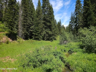 NNA2Lots Ryan Loop, St. Maries, ID 83861