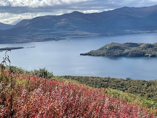 0 Tbd Amook Island Unit 11524268, Old Harbor, AK 99643