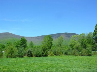 293 Muddy Ln, Manchester, VT 05255