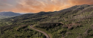 34100 Wildridge Ln, Steamboat Springs, CO 80487