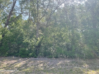 0 Scott Rd Unit 2084136, Florahome, FL 32140