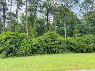 Lot 80 Spring Oak Dr, Carriere, MS 39426