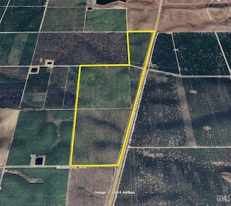 0 Hwy 65 - 100 Ac Organic Citrus Unit 202510661, Delano, CA 93215