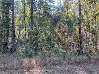 162 Meadow Ln, Livingston, TX 77351