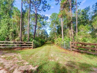 11043 Kijik Trail, Groveland, FL 34736