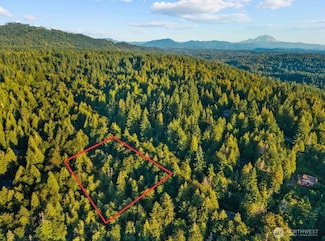 245 XX SE 146th St, Mirrormont, WA 98027