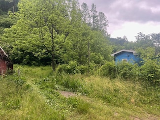 918 Spurlock Fork, Dana, KY 41615