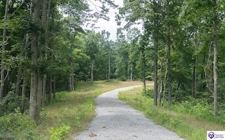 Tract 14 Cook Ln, Cromwell, KY 42333