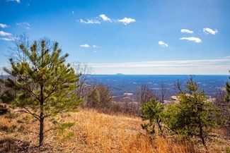 82 Acres Spring Pond Trail, Fancy Gap, VA 24328