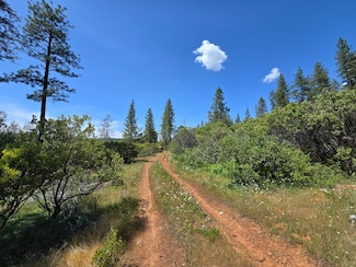 17711 Pamlo Way, Challenge-Brownsville, CA 95919