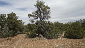 591 E Running Bear Rd, Williams, AZ 86046
