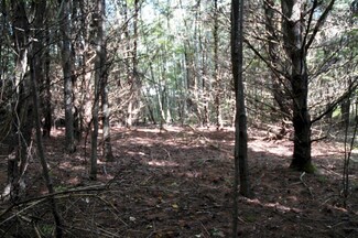 M7 L69-4 Willis Rd, Benton, ME 04901