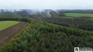 2852 Davis Rd, Cohocton, NY 14826