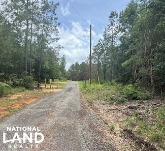 0 Salco Rd Unit 25596290, Axis, AL 36505