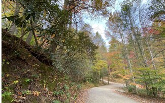 # 37 River Bend & Doe Run, Ellijay, GA 30540