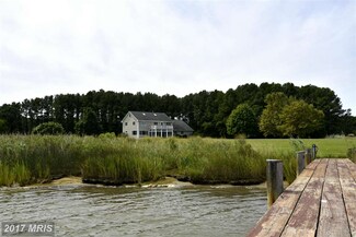 21584 Punch Point Rd, Sherwood, MD 21665