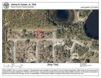 TBD Malauka Trace, Ocklawaha, FL 32179