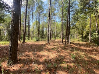 0 Gilliam Rd, Carbon Hill, AL 36701