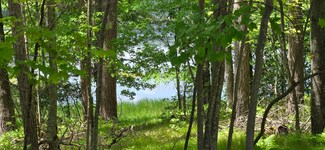 0 Martin Lane Ln Unit 50309338, Mountain, WI 54149