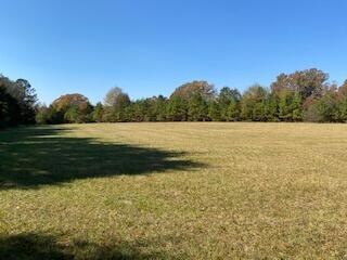 0 Larkin Rice Rd, Saluda, SC 29138