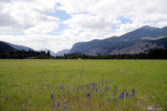 13 Ulrich Ln, Mazama, WA 98833