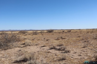 0 Camino de Vivir Rd SW Unit 20250682, Deming, NM 88030