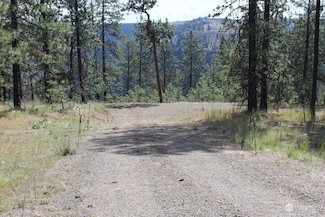 0 Lot 2 Badger Sontag Ridge E, Davenport, WA 99122