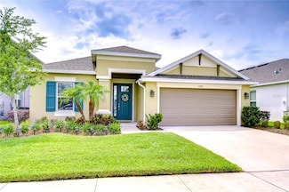 33518 Castaway Loop, Wesley Chapel, FL 33543