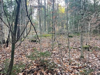 00 Manley Hill Rd, West Fairlee, VT 05045
