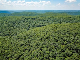 0000 Wood Thrush Ln, North Linn Township, MO 65721