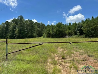 TBD Eagleton Rd Unit 100 acres, Harleton, TX 75651