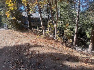 2 Chillon Dr, Crestline, CA 92325