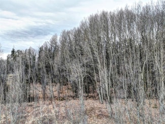 646 Antelope Way, Como, CO 80456