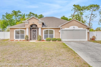 11217 Kangley Ln, Spring Hill, FL 34608