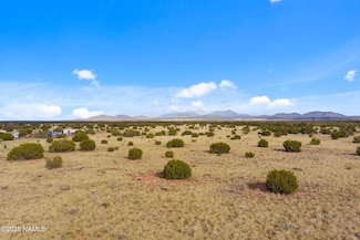3715 Noble Dr, Valle, AZ 86046