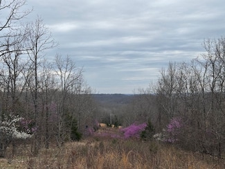 000 County Road 207 Lot Unit WP001, Ava, MO 65608