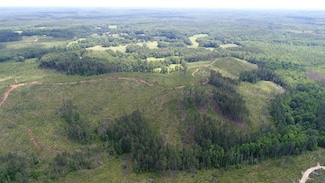 0 David Rd, Goodwater, AL 35072