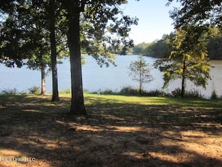 No Spring Lake, Vaiden, MS 39176
